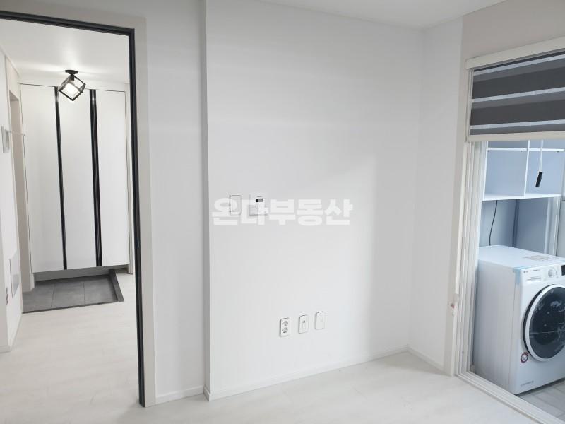 KakaoTalk_20250808_145555896.jpg